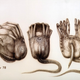 Illustration for article titled The Most Unforgettable Creations of H. R. Giger